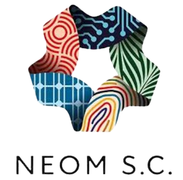 新未来城体育 新未来城体育